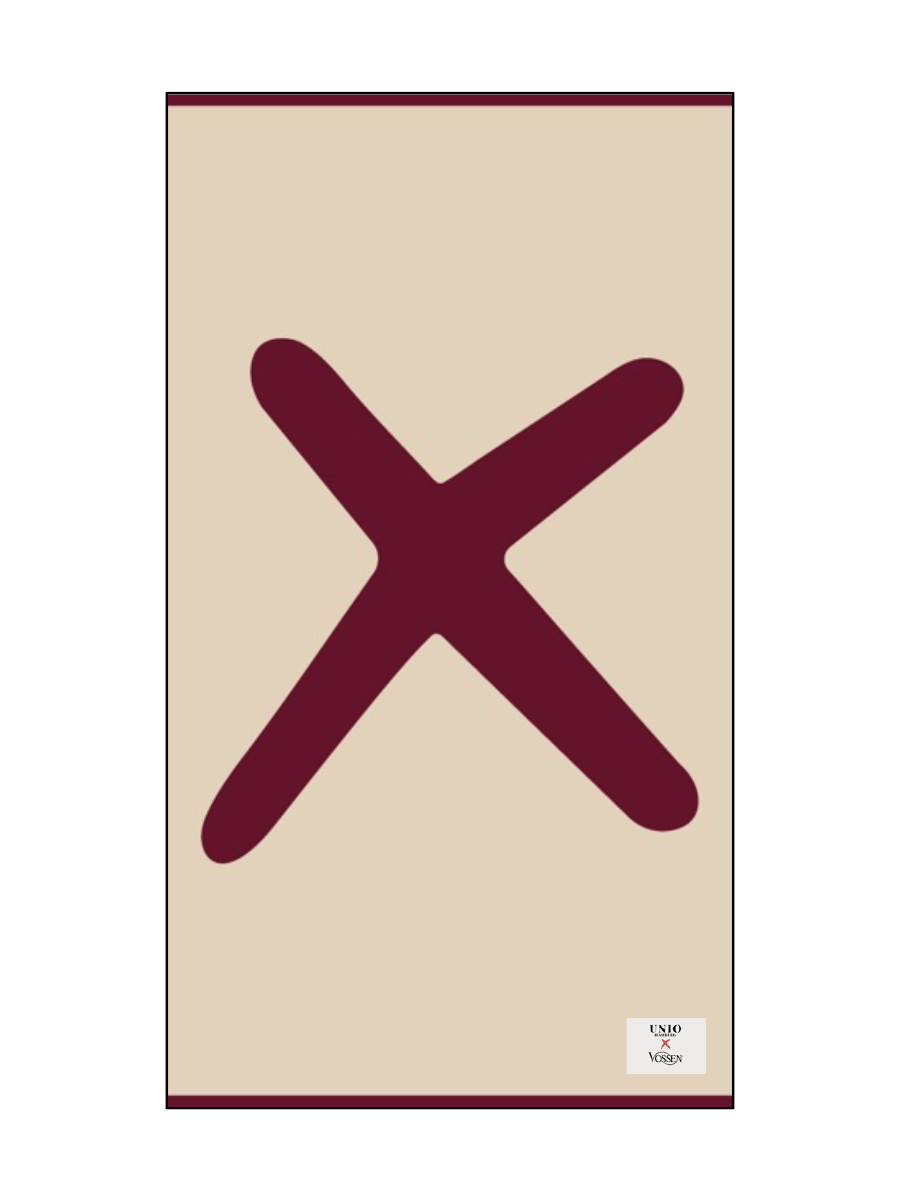 UNIO Hamburg FROTTIER ISCHIA - STRANDTUCH